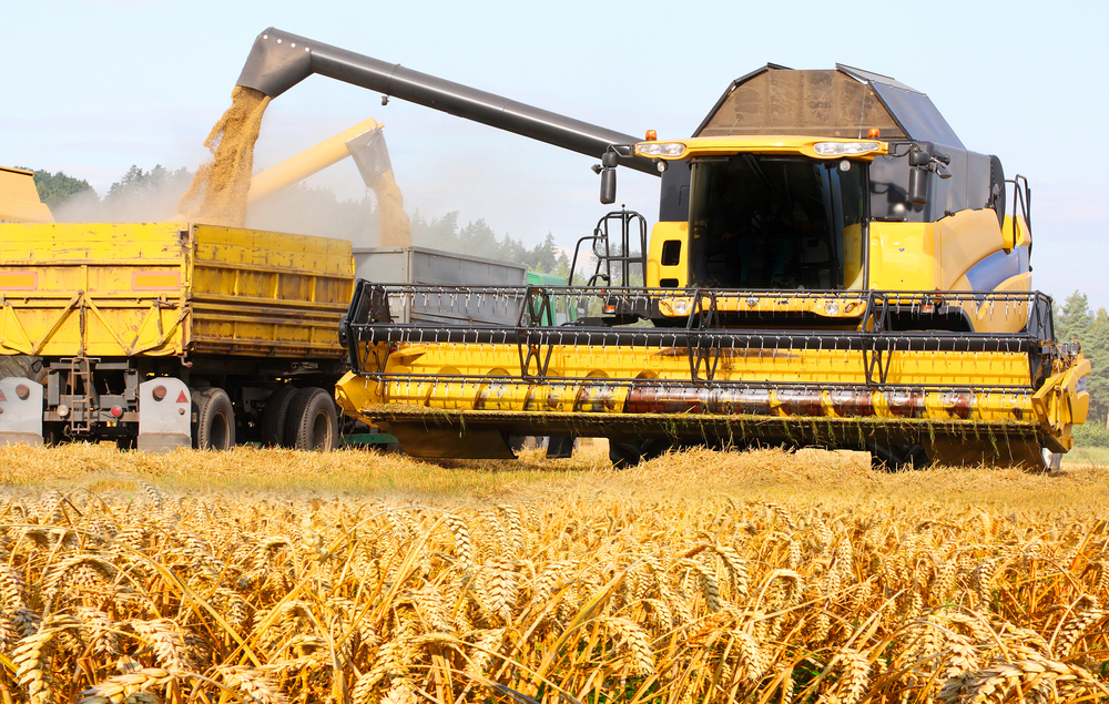 Agriculture in the Ukraine